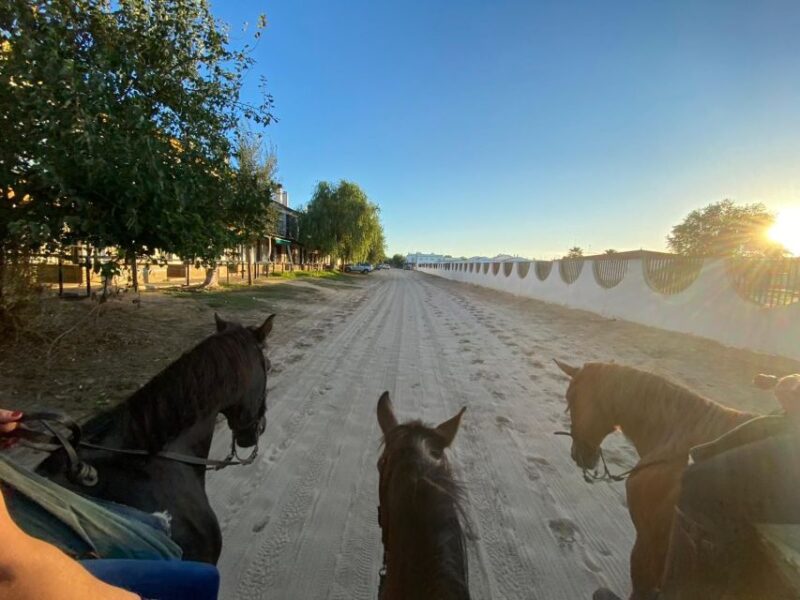 El Rocío: Doñana National Park Horseback Riding Tour - Spectacular Sea Viewpoints