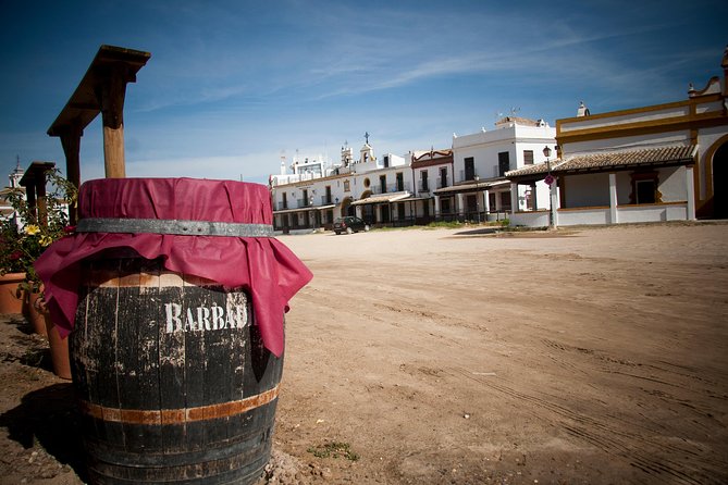 El Rocio, Donana Natural Park and Matalascanas Beach Day Trip From Seville - Relaxing at Matalascañas Beach