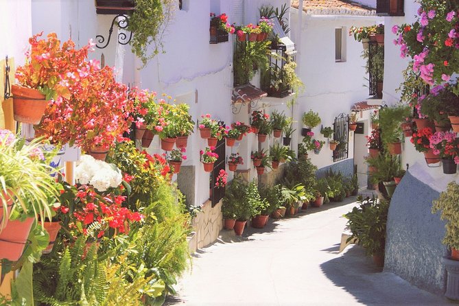 El Saltillo Gorge and White Village Hiking Tour From Malaga - Hiking Experience
