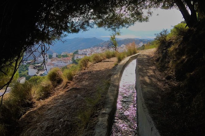 El Saltillo Gorge and White Village Hiking Tour From Malaga - Included Transportation