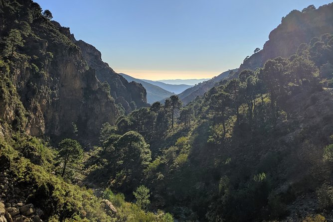 El Saltillo Gorge and White Village Hiking Tour From Malaga - Accessibility and Fitness