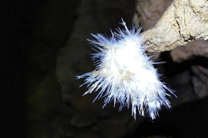 El Soplao Cave Visit - Tour Highlights