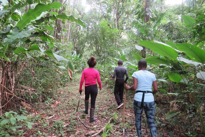 El Suzanne Estate Birding & Nature Reserve Tour - The Sum Up