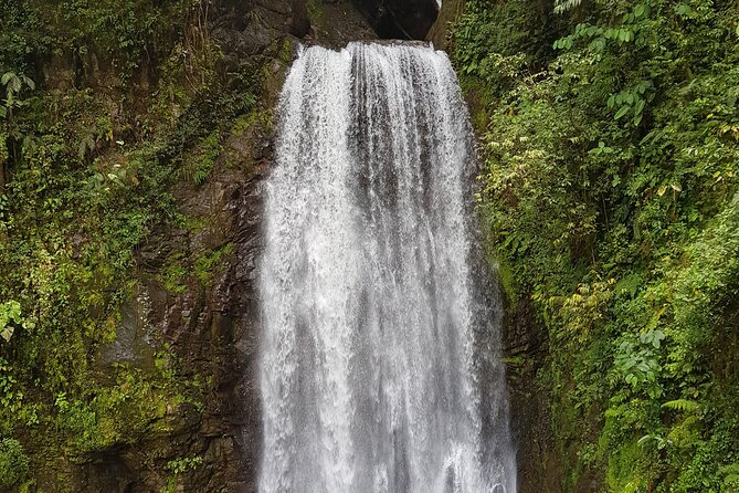 El Tigre Waterfalls Hiking Tour With Lunch and Nature Guide - Key Points