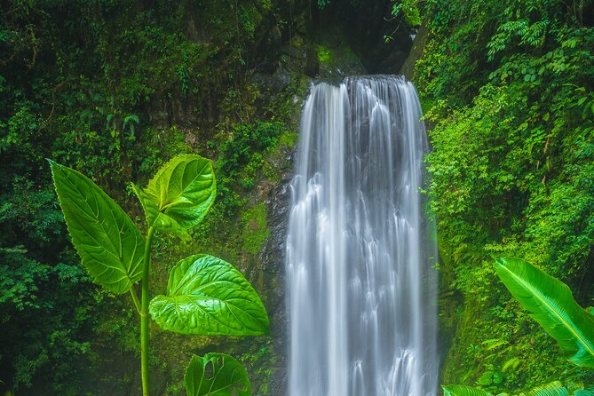 El Tigre Waterfalls Hiking Tour With Lunch and Nature Guide - Pricing and Availability