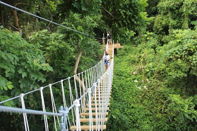 El Yunque Adventure Trail - Key Points