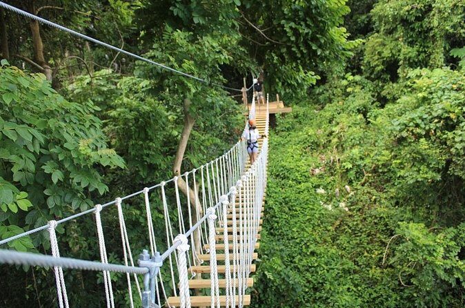 El Yunque Adventure Trail - Practical Tips for Your Visit
