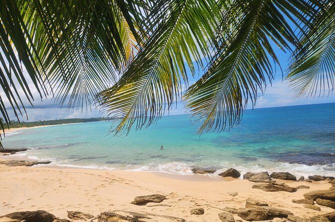 El Yunque & Beach Tour: Waterslide, Waterfall, Food, & Photos - Final Verdict: Who Is It Best For?