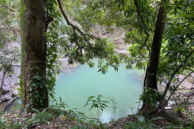 El Yunque Green Trail Day Excursion With Transport - Health and Accessibility