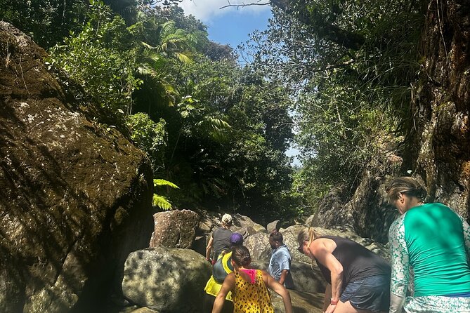 El Yunque Green Trail Day Excursion With Transport - Questions About Your Stay
