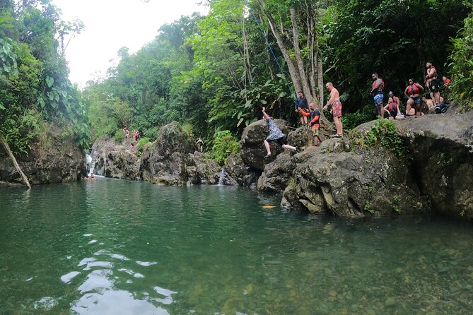 El Yunque Guided Waterfall Experience With Transport - Pickup and Meeting Logistics