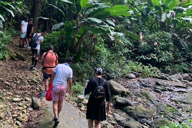 El Yunque National Forest and Luquillo Beach Combo - Tour Overview and Highlights