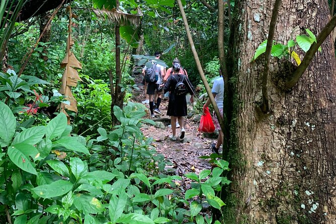 El Yunque National Forest and Luquillo Beach Combo - Physical Requirements and Restrictions