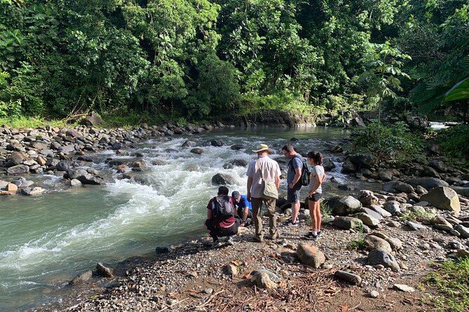El Yunque National Forest and Luquillo Beach Combo - Tour Experience and Guide Feedback