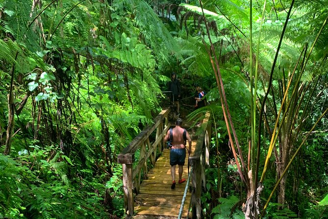 El Yunque National Forest and Luquillo Beach Combo - Guest Reviews and Recommendations