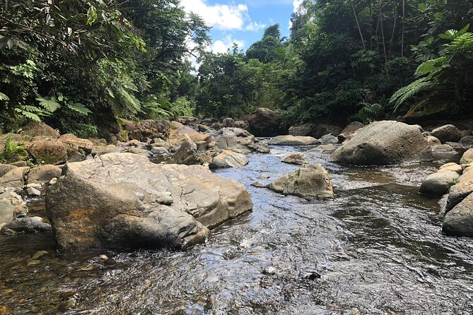 El Yunque National Forest and Luquillo Beach Combo - Exploring El Yunque National Forest
