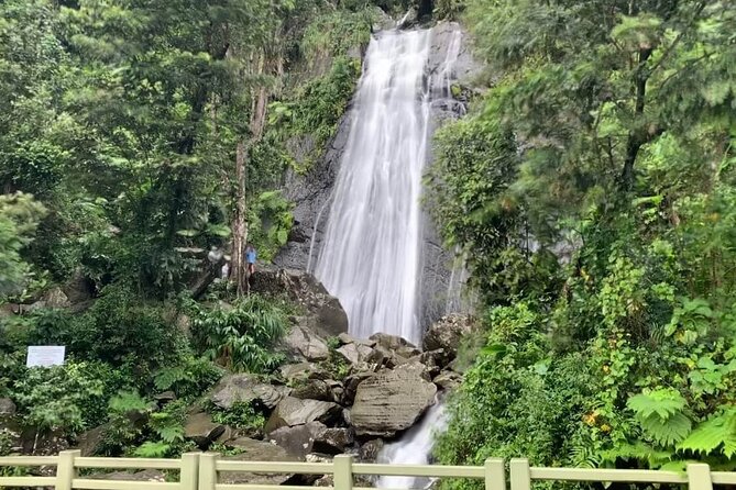 El Yunque National Forest and Luquillo Beach Tour - Tour Highlights and Feedback
