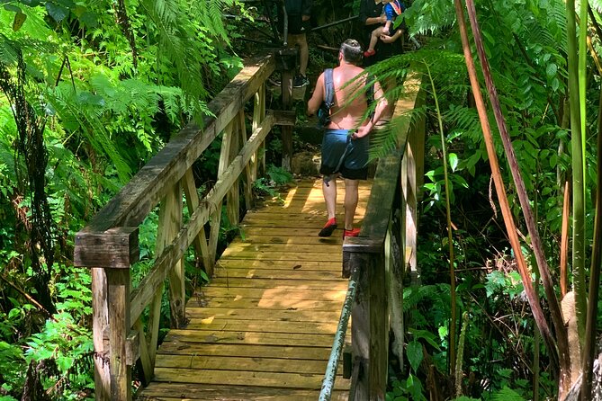 El Yunque National Forest and Luquillo Beach Tour - Guided Exploration