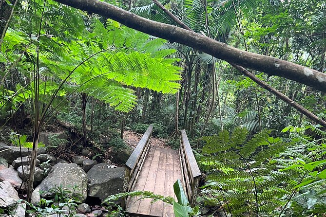 El Yunque National Forest Guided Tour With Transport - Pickup Information