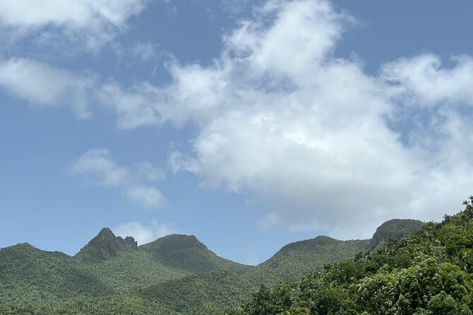 El Yunque National Forest Guided Tour With Transport - Tour Experience