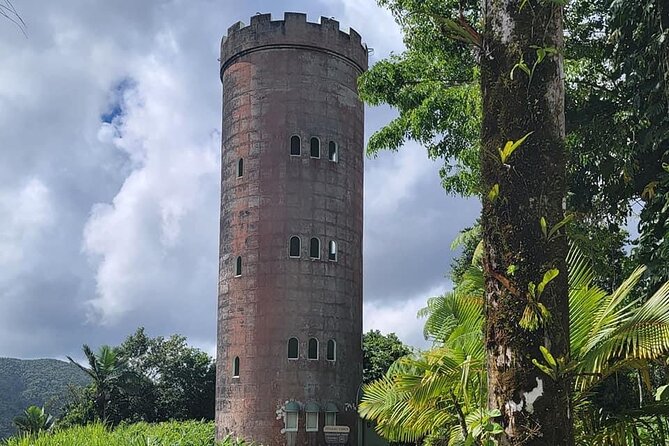 El Yunque National Forest Guided Tour With Transport - Participant Details