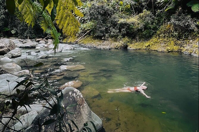 El Yunque National Forest Guided Tour With Transport - Accessibility and Transportation