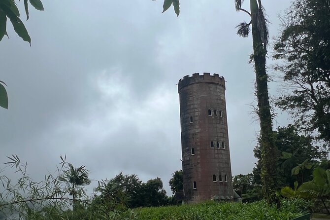 El Yunque National Forest Guided Tour With Transport - Review Highlights