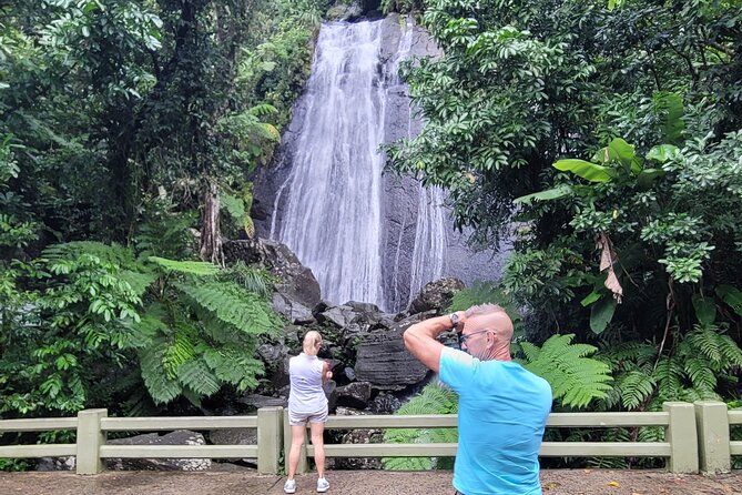 El Yunque National Forest - The Road 191 Corridor - Half Day Tour - Itinerary and Inclusions
