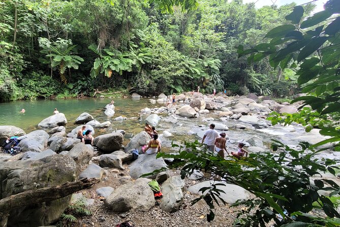 El Yunque National Forest - The Road 191 Corridor - Half Day Tour - Booking and Cancellation Policy