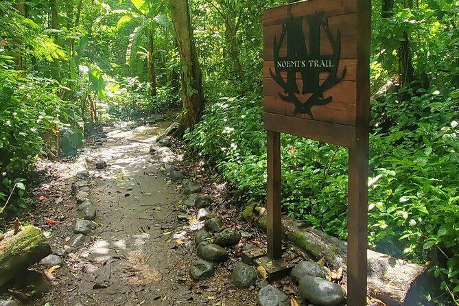 El Yunque National Rainforest and Luquillo Beach Tour - The Descent and Transition to Luquillo Beach