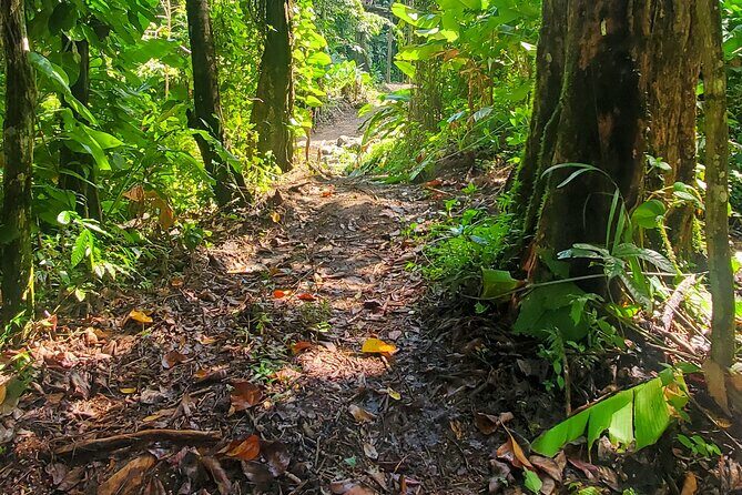 El Yunque National Rainforest and Luquillo Beach Tour - What the Tour Includes and What It Doesn’t