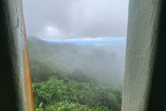 El Yunque National Rainforest and Luquillo Beach Tour - The Guide and Overall Experience