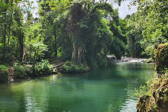 El Yunque National Rainforest and Luquillo Beach Tour - Pricing and Value