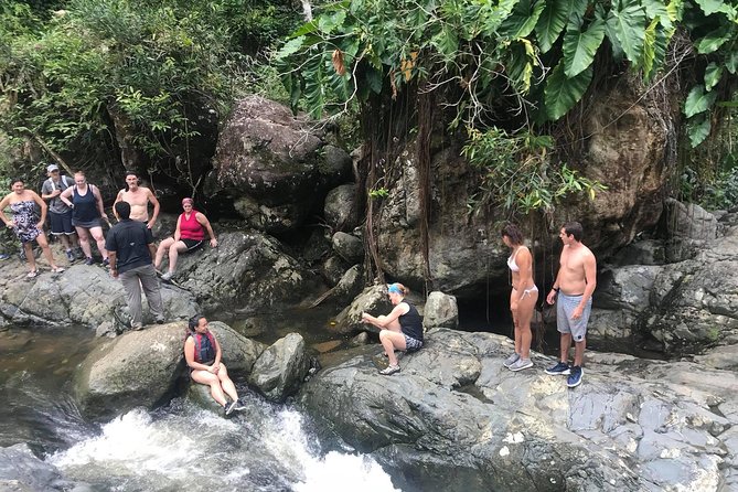 El Yunque off the Beaten Path Hiking Tour With Transport - Inclusions and Requirements