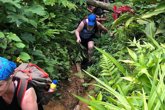 El Yunque off the Beaten Path Hiking Tour With Transport - Safety and Regulations