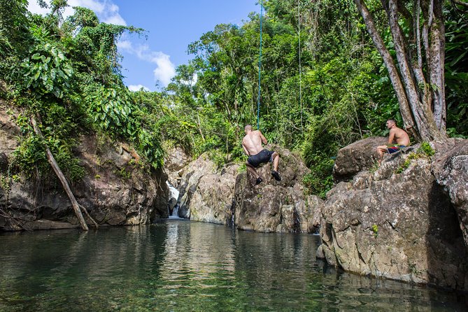 El Yunque Rainforest and Bio Bay Kayaking Combo Tour - Rainforest Exploration