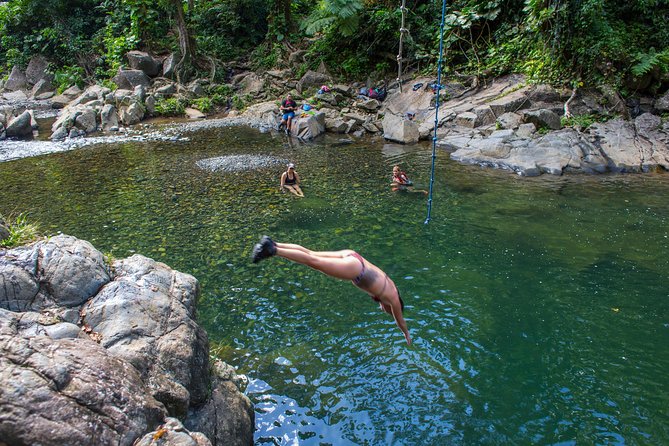El Yunque Rainforest and Bio Bay Kayaking Combo Tour - Waterfall Swim