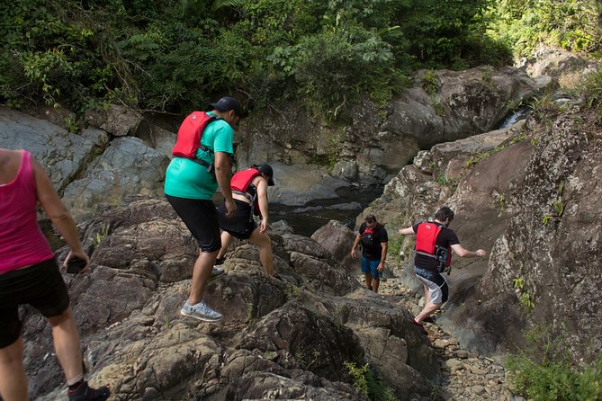 El Yunque Rainforest and Bio Bay Kayaking Combo Tour - Tour Duration