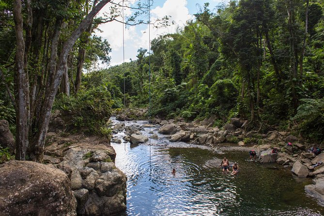El Yunque Rainforest and Bio Bay Kayaking Combo Tour - Activity Requirements