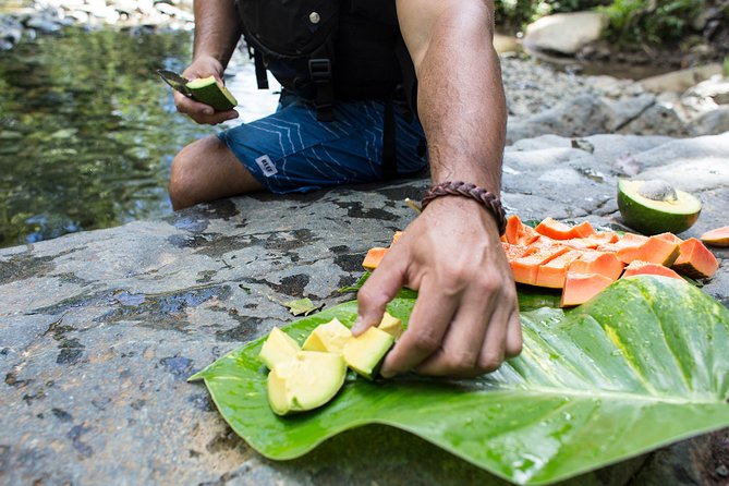 El Yunque Rainforest and Bio Bay Kayaking Combo Tour - Safety Measures