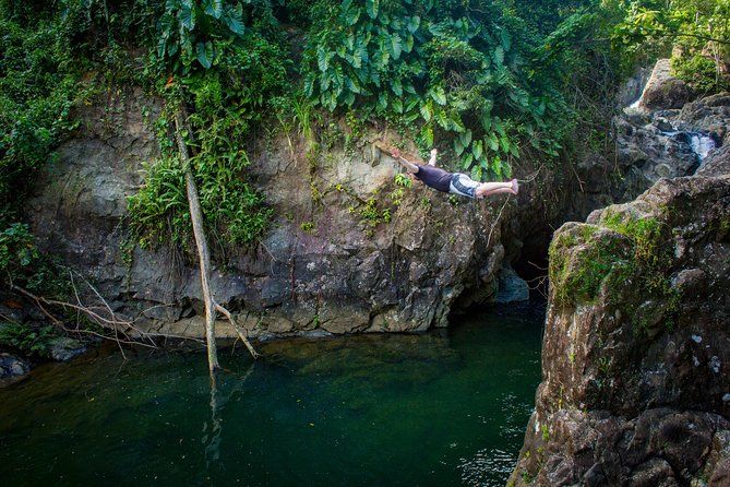 El Yunque Rainforest and Bio Bay Kayaking Combo Tour - Participant Reviews