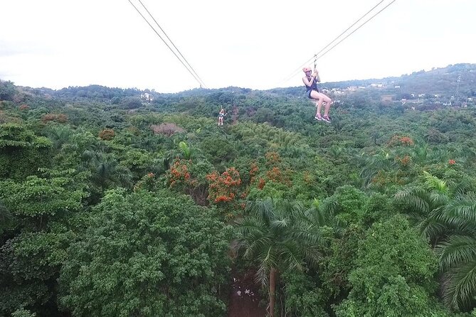 El Yunque Rainforest and Zipline Canopy Combo Tour - Pickup and Location Details