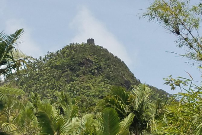 El Yunque Rainforest Full Day Private Tour - Whats Included