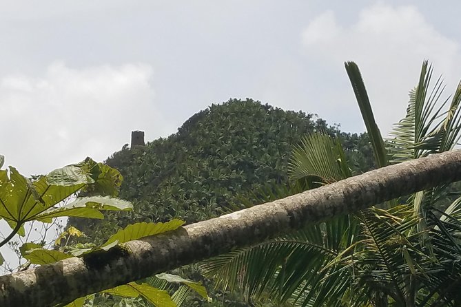 El Yunque Rainforest Full Day Private Tour - Tour Experience Details