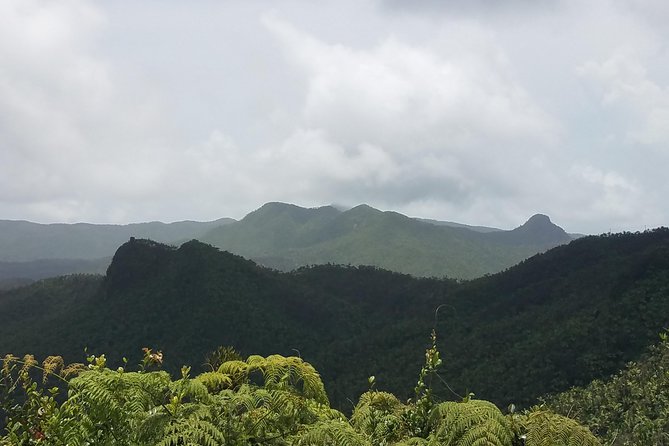 El Yunque Rainforest Full Day Private Tour - Traveler Highlights