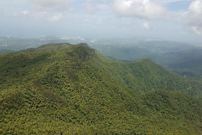 El Yunque Rainforest Full Day Private Tour - Booking and Cancellation