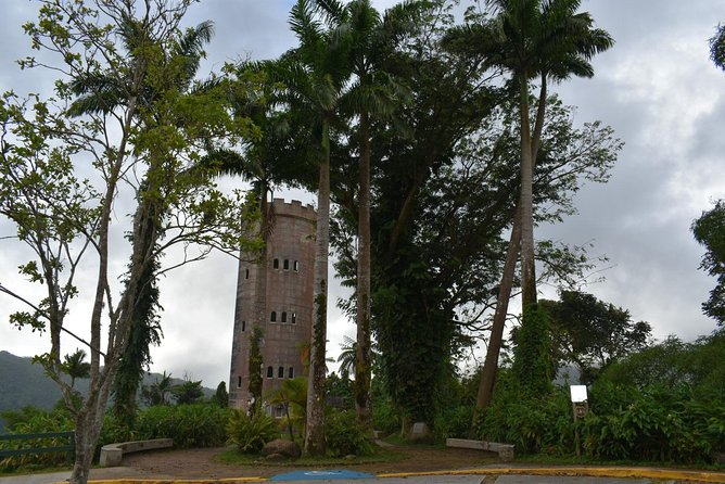 El Yunque Rainforest Guided Day Tour From San Juan - Key Stops