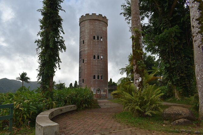 El Yunque Rainforest Guided Day Tour From San Juan - Group Size and Fitness Level