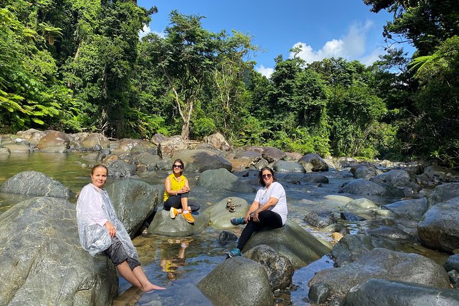 El Yunque Rainforest Guided Day Tour From San Juan - Pickup and Start Time