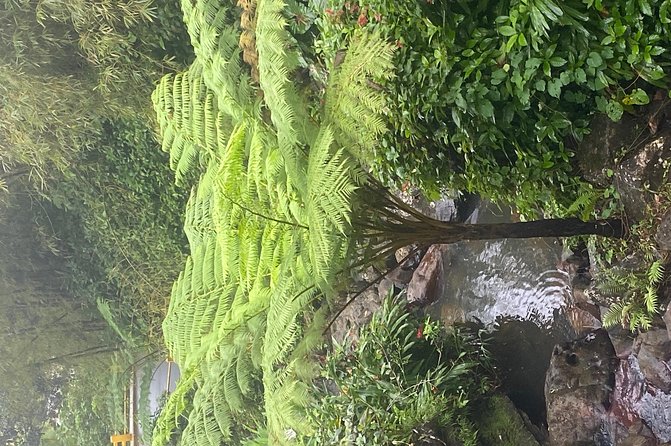 El Yunque Rainforest Guided Day Tour From San Juan - Inclusions and Entrance Fees